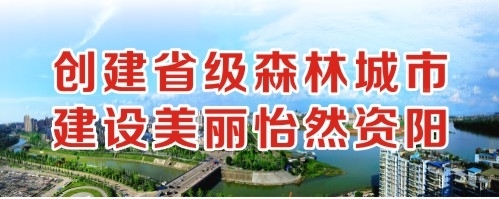 极品白虎被操的视频创建省级森林城市 建设美丽怡然资阳